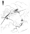 Thumbnail for version as of 03:41, 15 March 2026